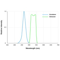 Microscop Fluorescenta VERDE cu iluminare 465 nm si filtru 510 nm- 545nm- AM4517MT-G2FBW